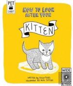 How To Look After Your Kitten
