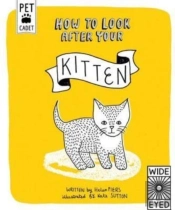 How To Look After Your Kitten