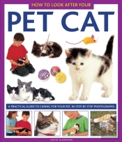 How To Look After Your Pet Cat