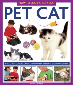 Bertrand.pt - How To Look After Your Pet Cat