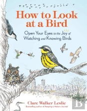 How To Look At A Bird