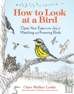Bertrand.pt - How To Look At A Bird