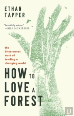 Bertrand.pt - How To Love A Forest