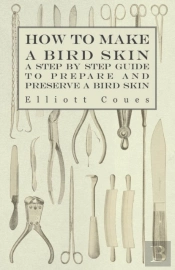 How To Make A Bird Skin - A Step By Step Guide To Prepare And Preserve A Bird Skin