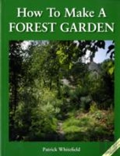 How To Make A Forest Garden