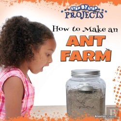 Bertrand.pt - How To Make An Ant Farm