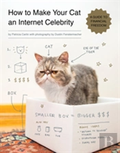 How To Make Your Cat An Internet Celebrity
