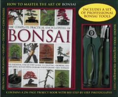 How To Master The Art Of Bonsai