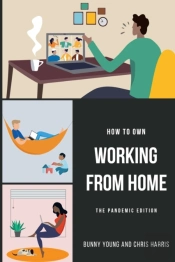 How To Own Working From Home : The Pande