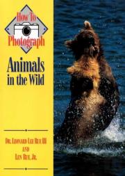 How To Photograph Animals In The Wild