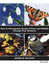 How To Photograph Garden Plants And Wildlife Through Four Seasons