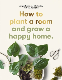 Bertrand.pt - How To Plant A Room