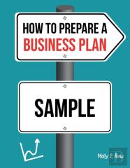 How To Prepare A Business Plan Sample