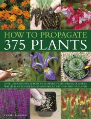 How To Propagate 375 Plants