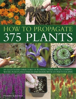 Bertrand.pt - How To Propagate 375 Plants