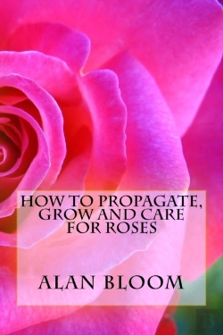 Bertrand.pt - How To Propagate, Grow And Care For Roses