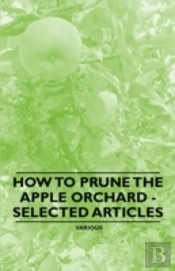 How To Prune The Apple Orchard - Selected Articles