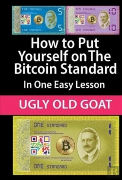 Bertrand.pt - How To Put Yourself On The Bitcoin Standard: