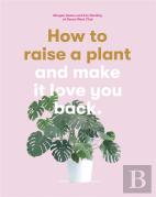 How To Raise A Plant