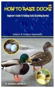 How To Raise  Ducks.