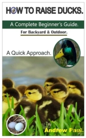 How To Raise Ducks