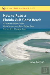 How To Read A Florida Gulf Coast Beach