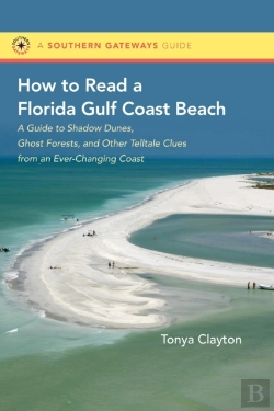 Bertrand.pt - How To Read A Florida Gulf Coast Beach