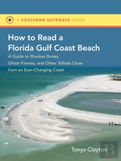 How To Read A Florida Gulf Coast Beach