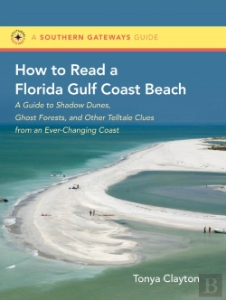 Bertrand.pt - How To Read A Florida Gulf Coast Beach