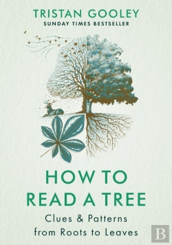 Bertrand.pt - How To Read A Tree