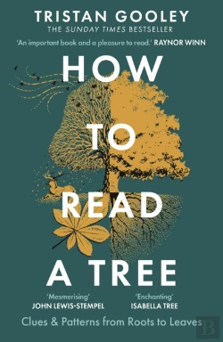 Bertrand.pt - How To Read A Tree