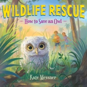 How To Save An Owl