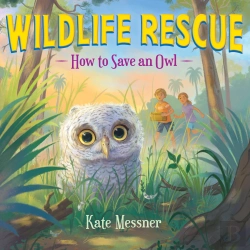 Bertrand.pt - How To Save An Owl