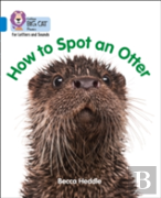 How To Spot An Otter