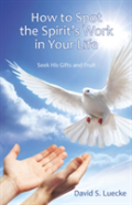 How To Spot The Spirit'S Work In Your Life