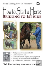 How To Start A Horse