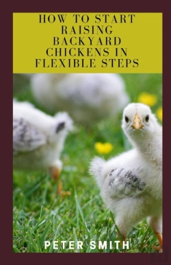 Bertrand.pt - How To Start Raising Backyard Chickens In Flexible Steps