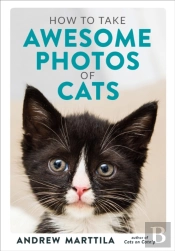 How To Take Awesome Photos Of Cats