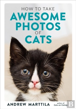 Bertrand.pt - How To Take Awesome Photos Of Cats