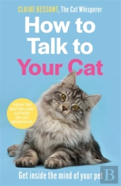 How To Talk To Your Cat