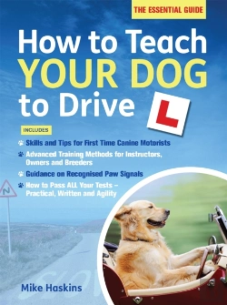 Bertrand.pt - How To Teach Your Dog To Drive