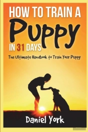 How To Train A Puppy In 31 Days