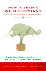 How To Train A Wild Elephant