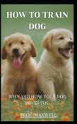 How To Train  Dog