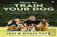 How To Train Your Dog