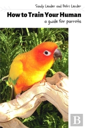 How To Train Your Human: A Guide For Par