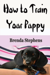 How To Train Your Puppy