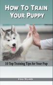 How To Train Your Puppy