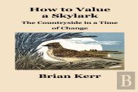How To Value A Skylark