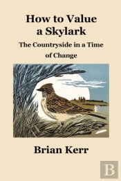 How To Value A Skylark